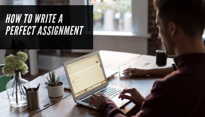 Perfect Assignment Tips